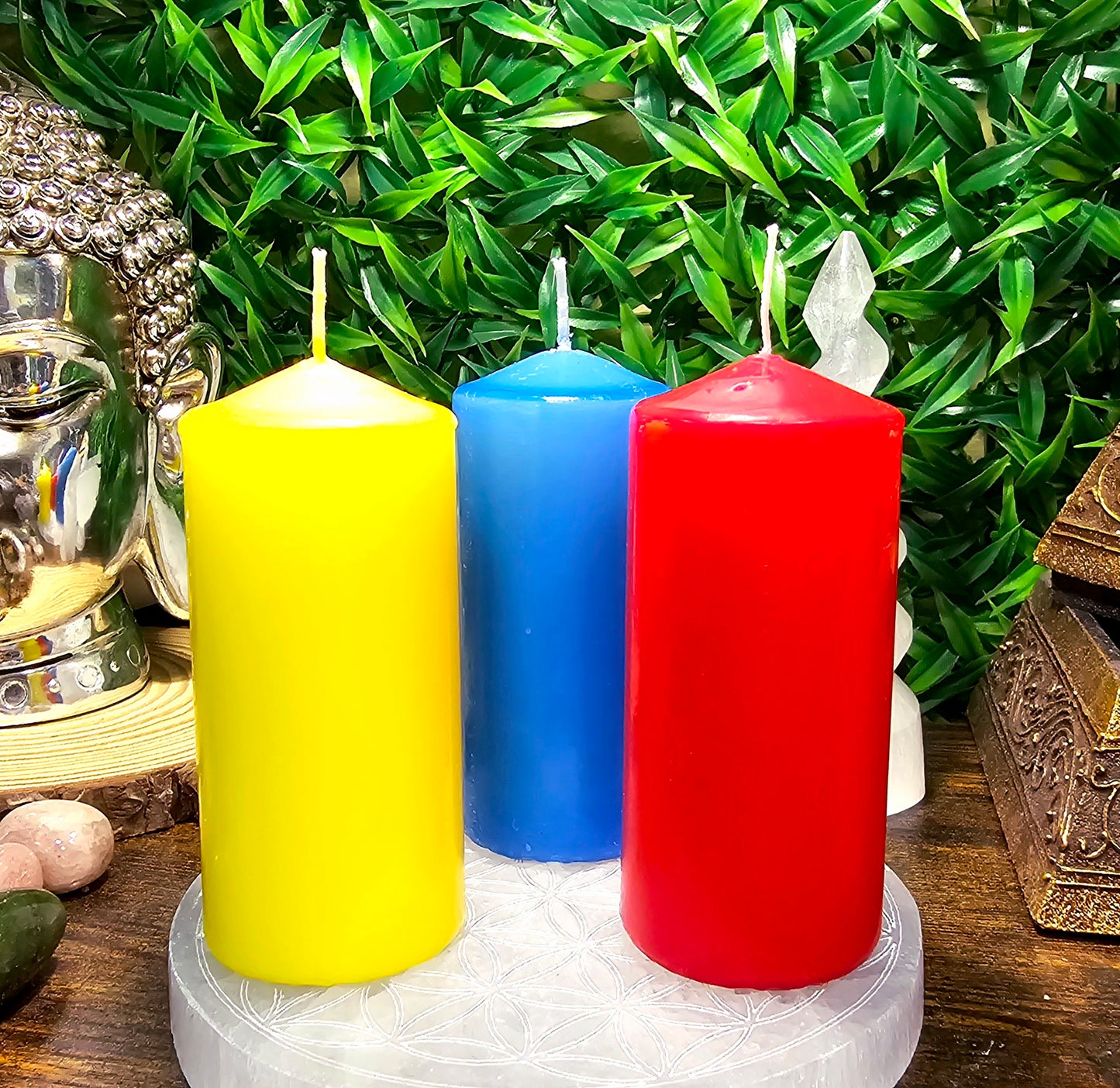 Velónes de colores