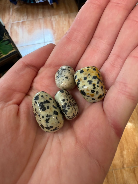 Jaspe dálmata pulido — mineral de la protección, equilibrio y estabilidad emocional