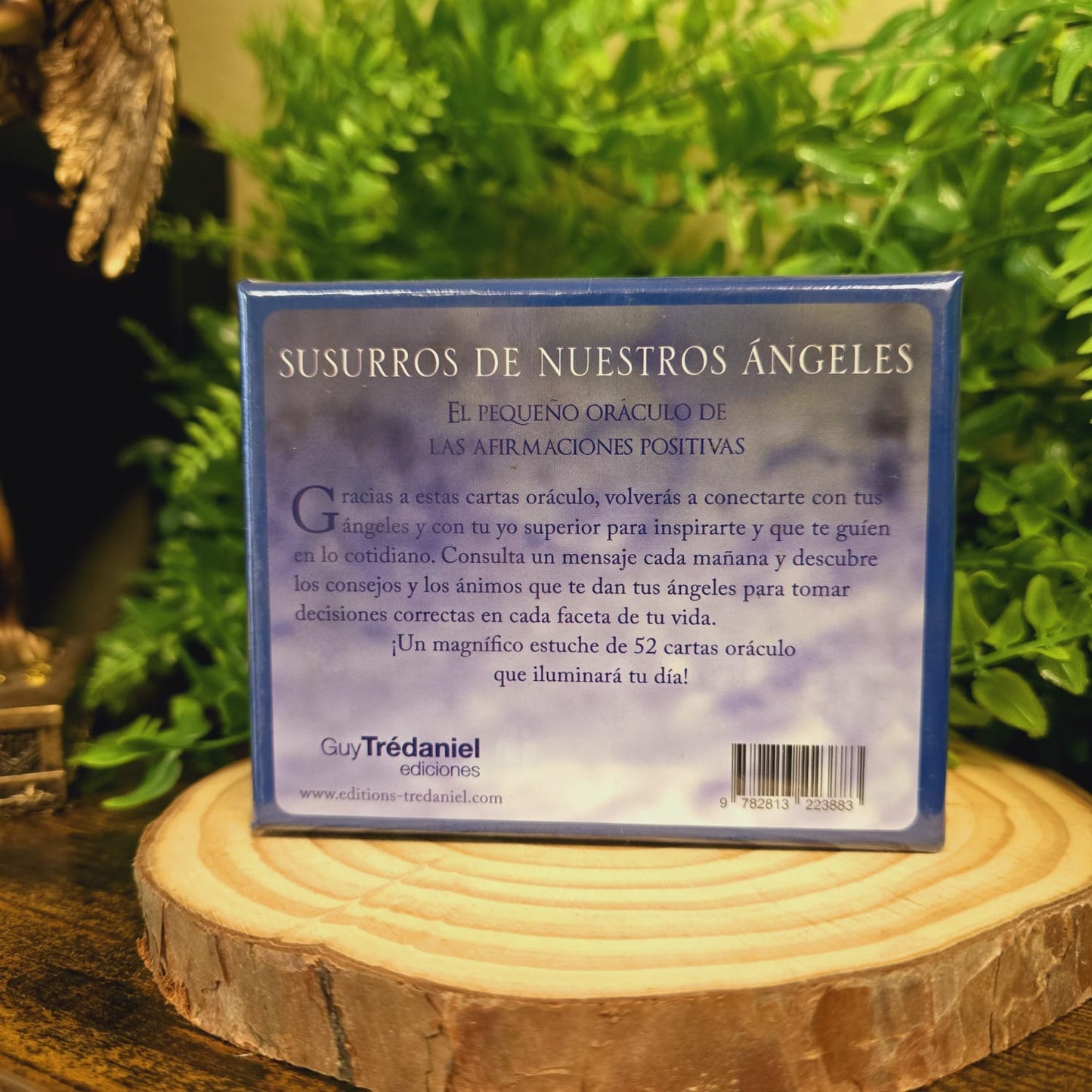 Oráculo "Susurros de Nuestros Ángeles" – Mensajes Divinos y Guía Espiritual