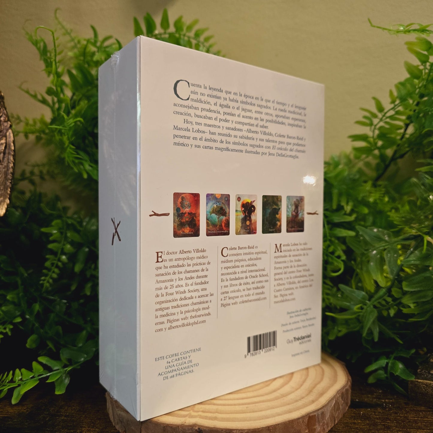 Oráculo del Chamán Místico – Conéctate con la Sabiduría Ancestral 🌿🔮