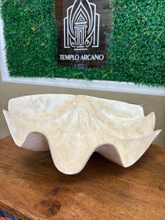 Concha Gigante Natural – Elegancia Marina para Rituales, Altar o Decoración