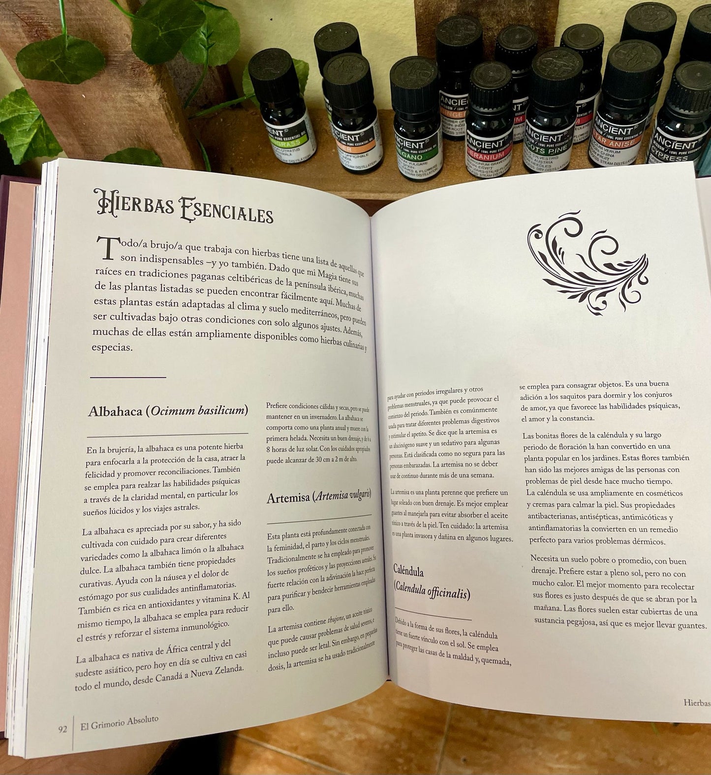 Libro "El Grimorio Absoluto" – La llave de la sabiduría mágica