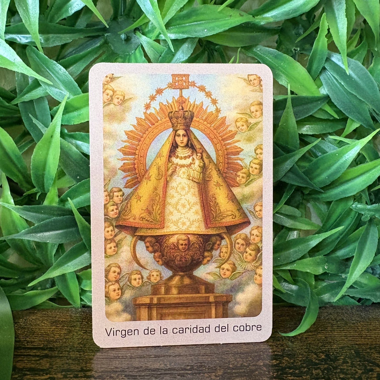 Estampas Oración Santos