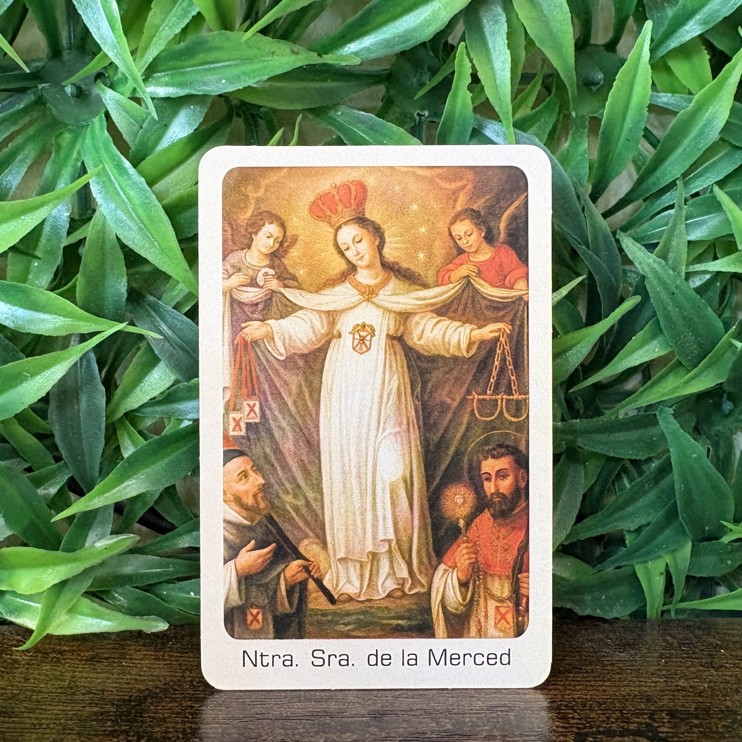 Estampas Oración Santos