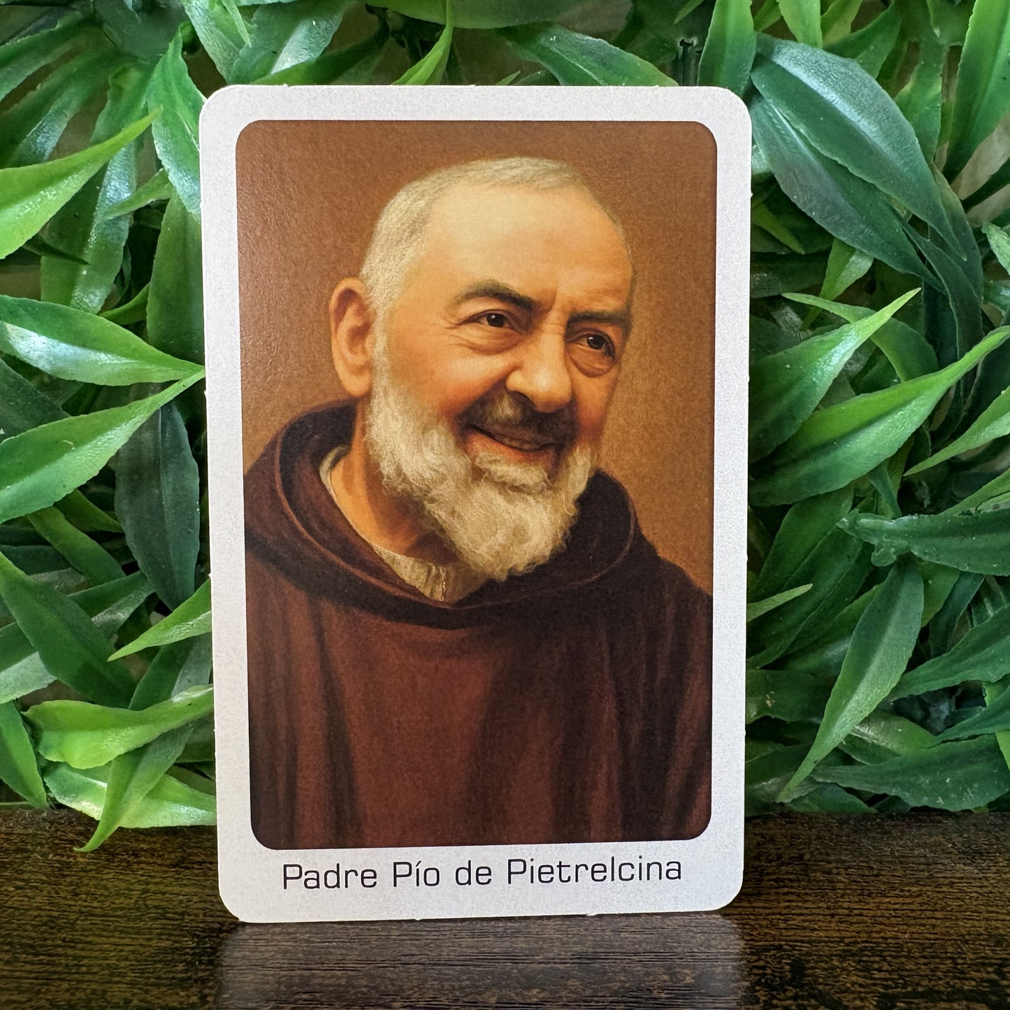 Estampas Oración Santos