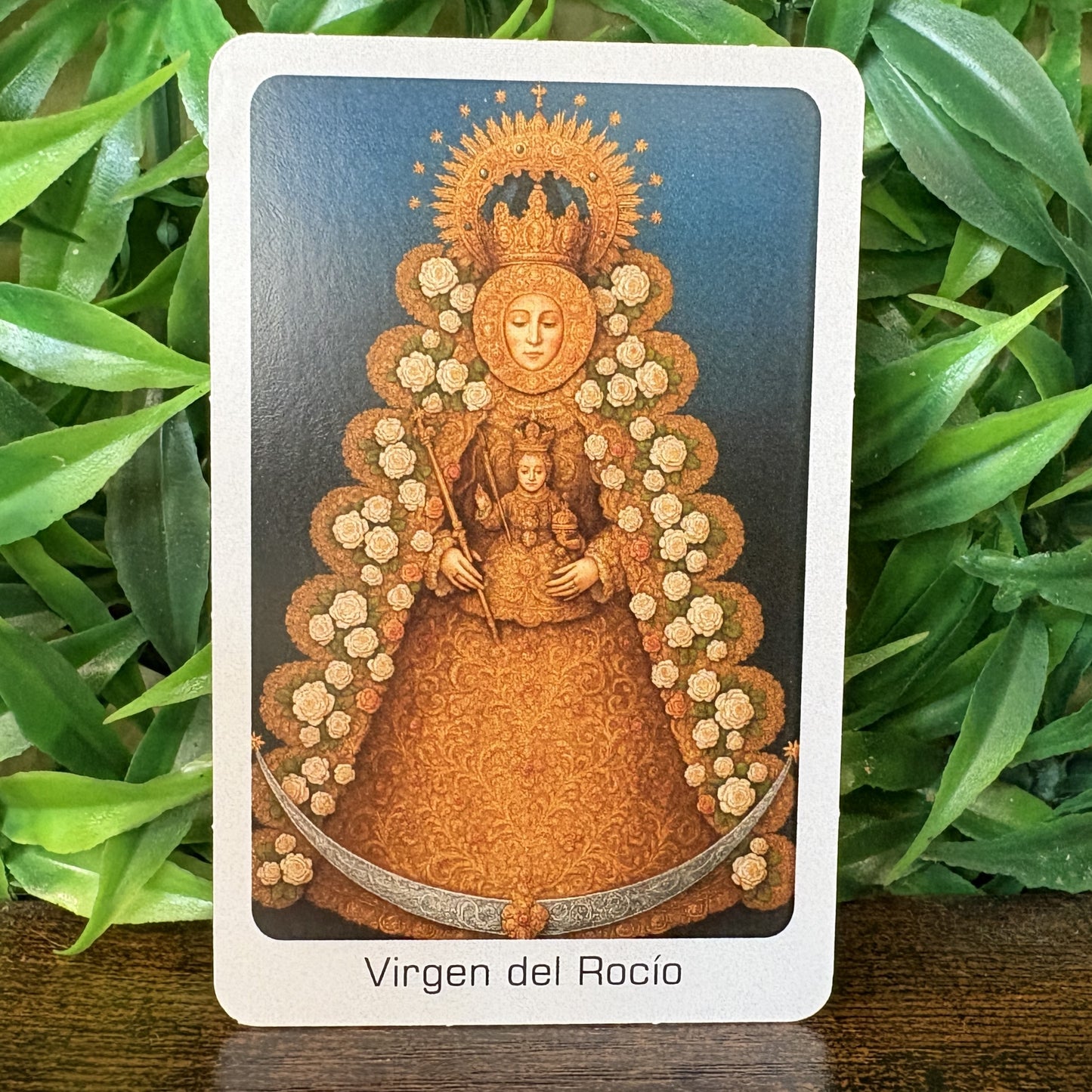 Estampas Oración Santos