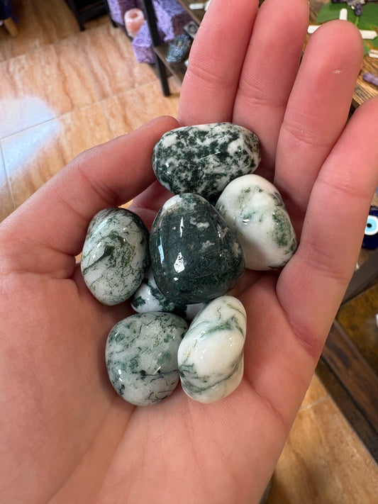 Jaspe musgo pulido — mineral de la imaginación y abundancia