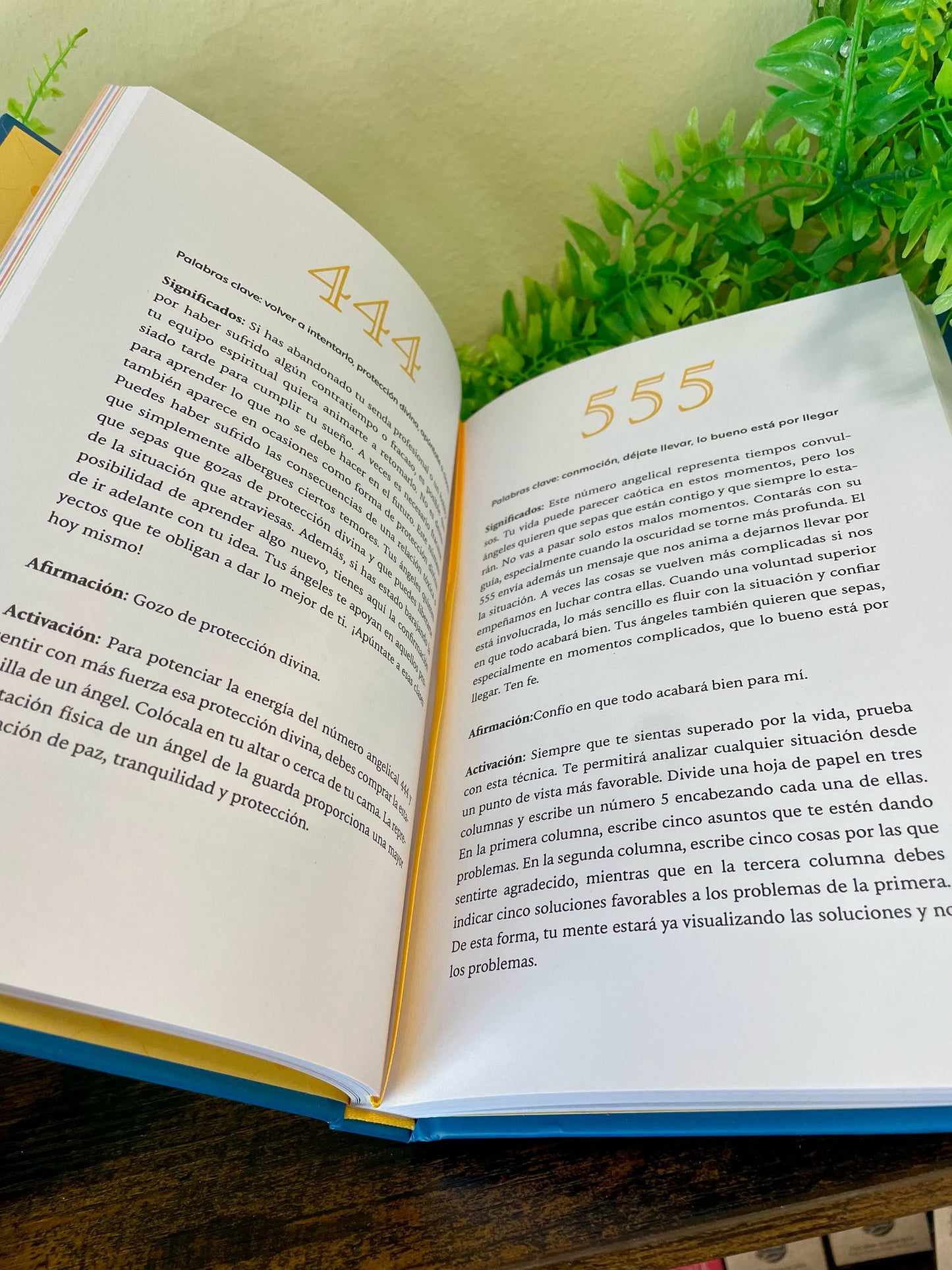 Libro "Los Números Angelicales" – Conecta con los mensajes del universo