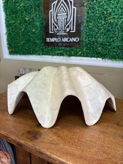 Concha Gigante Natural – Elegancia Marina para Rituales, Altar o Decoración